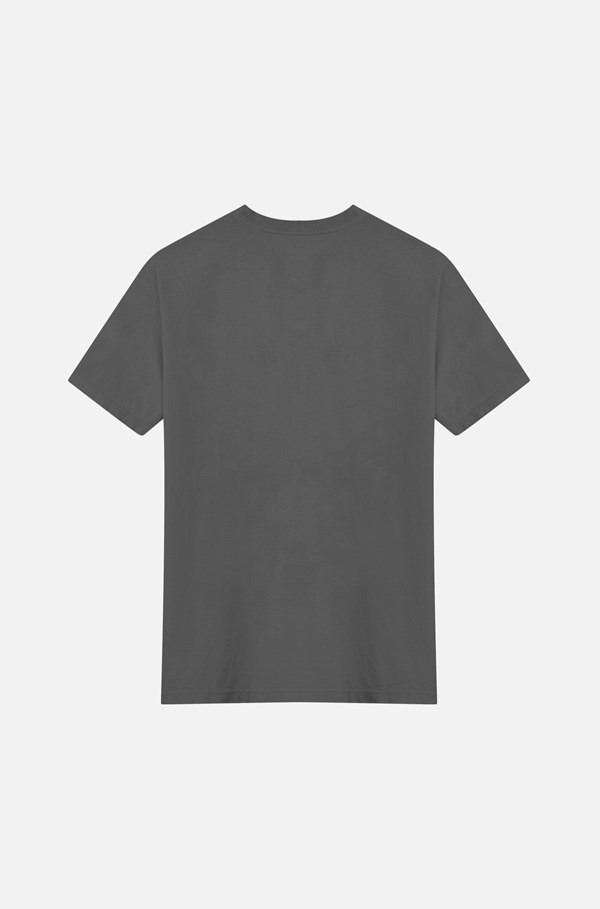 Camiseta Bold Approve New Classic Cinza