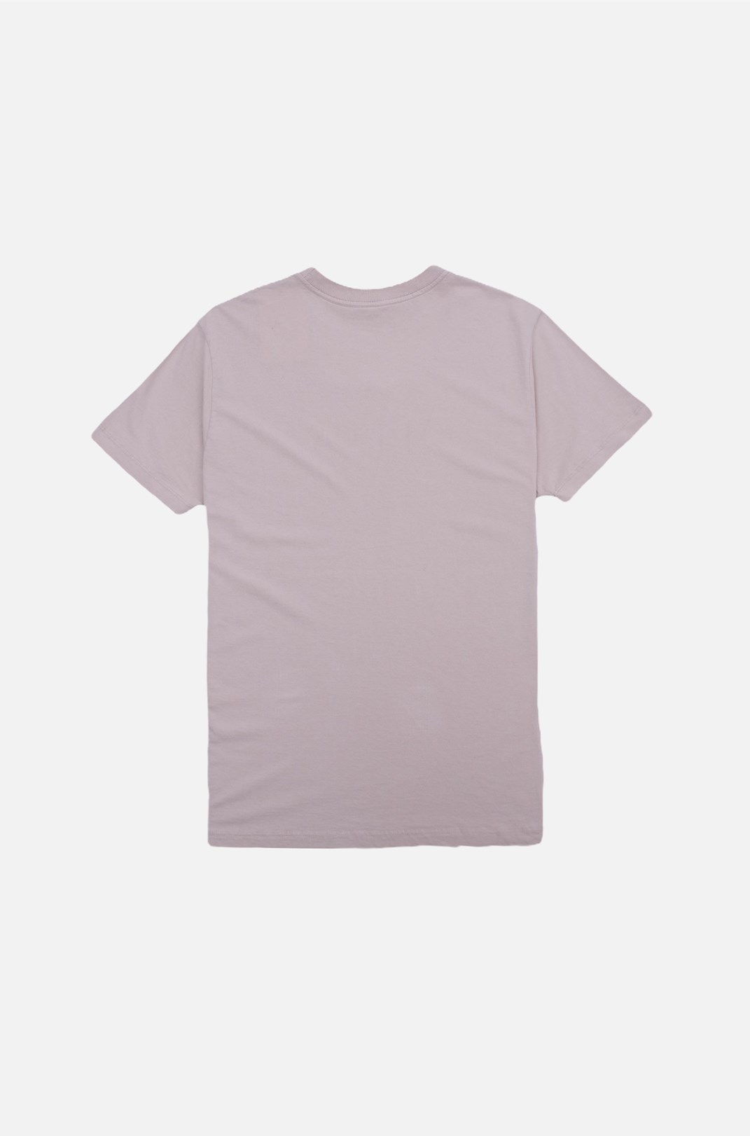 Camiseta Regular Approve Monochromatic Bege V2