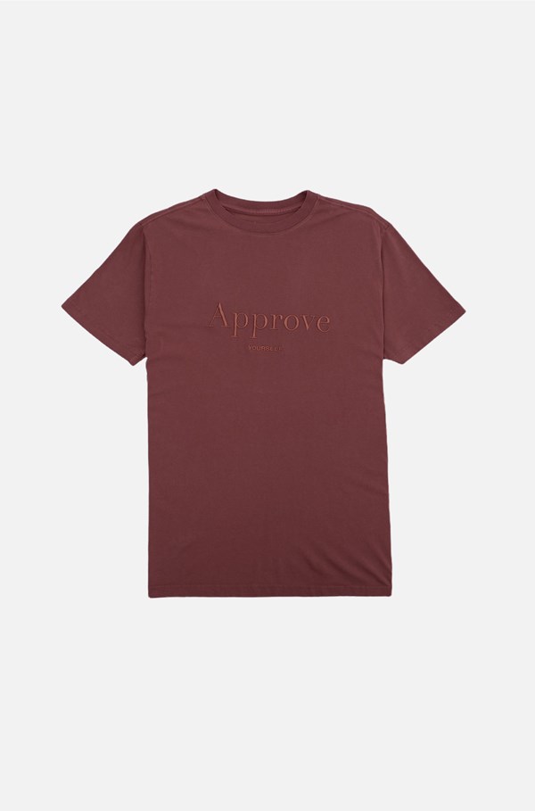 Camiseta Regular Approve Monochromatic Marrom V2