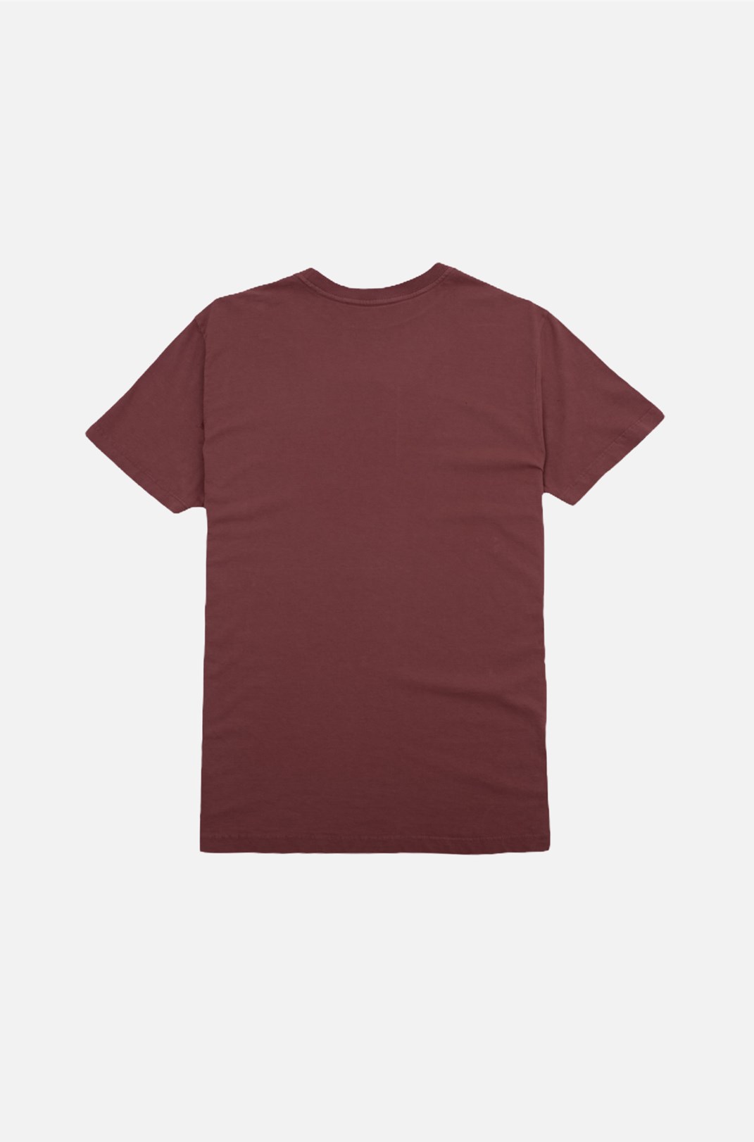 Camiseta Regular Approve Monochromatic Marrom V2