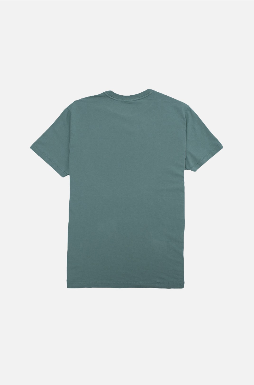 Camiseta Regular Approve Monochromatic Verde V2
