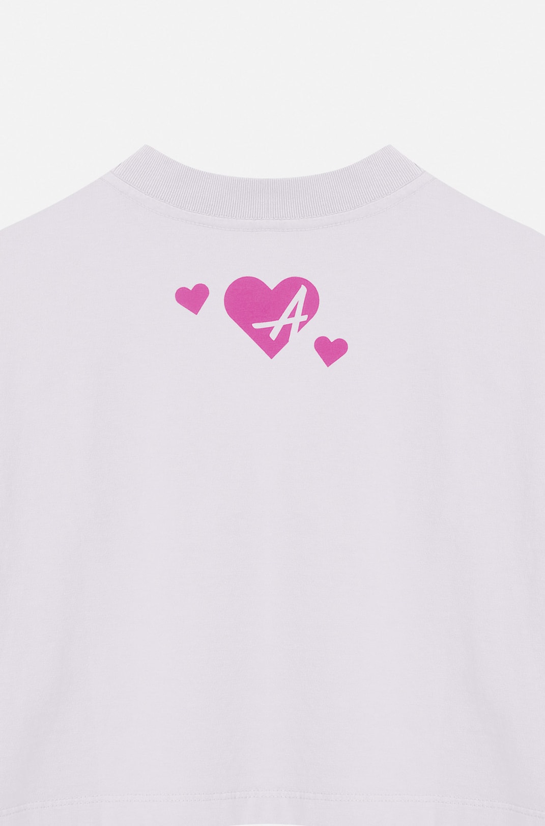 Cropped Bold Approve Rainbow Bear Off White e Rosa